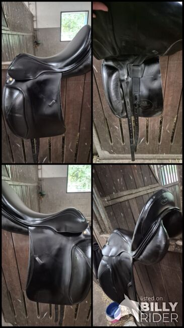 Prestige Milano, Prestige Milano, Desiree B., Bareback pads, Bomlitz, Image 6
