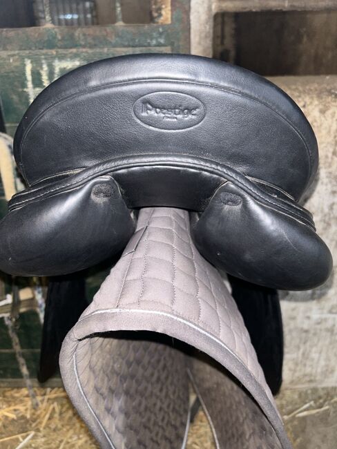 Prestige Milano 17“, Prestige  Milano, Maier, Dressage Saddle, Sinzig, Image 4