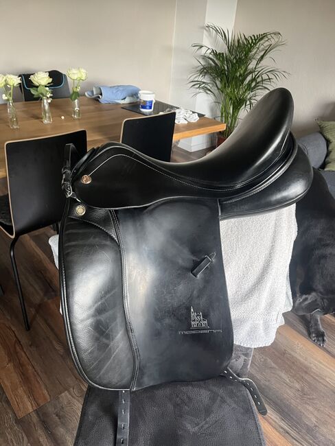 Prestige Modena 17 Zoll, Prestige Modena , Kira, Lambskin Pad, Hattingen 