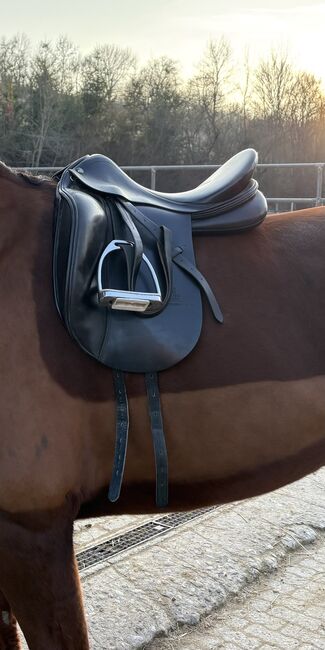 Prestige Modena, Prestige  Prestige Modena , Melissa Wendt, Dressage Saddle, Kitzingen