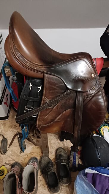 Prestige Paris Springsattel, Prestige  Paris, Nikola Krtickova, Jumping Saddle, Wismar, Image 3