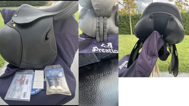 Prestige Passion D 16/33 Schwarz sehr gut gepflegt, Prestige Passion D 16/33, Giulia Scherer, Springsattel, Stuttgart, Abbildung 3