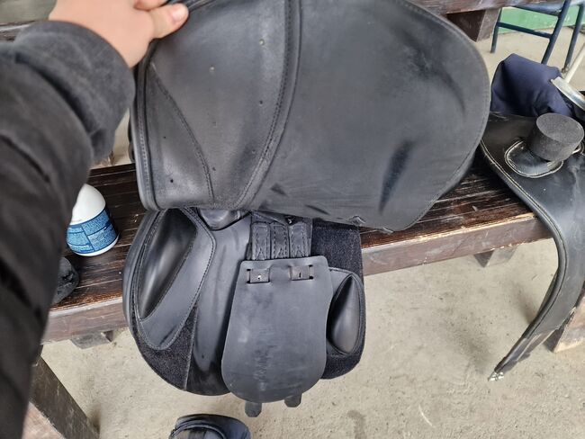 Prestige Prais Classic Springsattel, Prestige Paris Classic, Celine, Jumping Saddle, St. Pölten, Image 7
