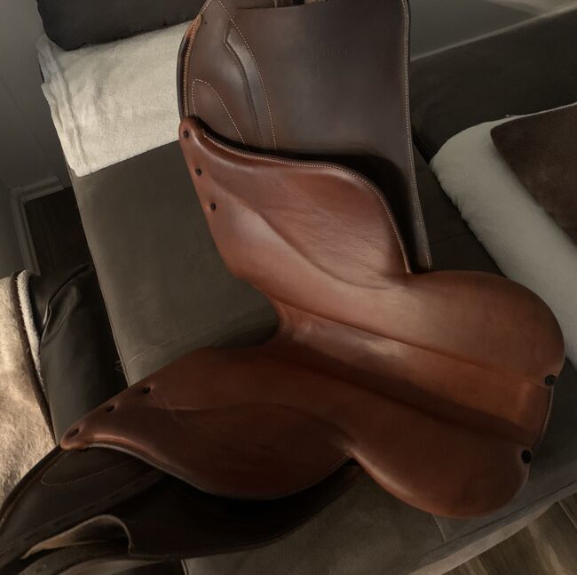Prestige-Renaissance T K Dressursattel, Prestige Renaissance T K Dressursattel, Sandra, Dressage Saddle, Ilztal, Image 2