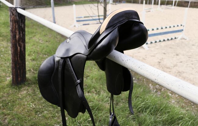 Prestige Rialto Springsattel - guter Zustand, Prestige Rialto, Katharina, Jumping Saddle, Wien, Image 5