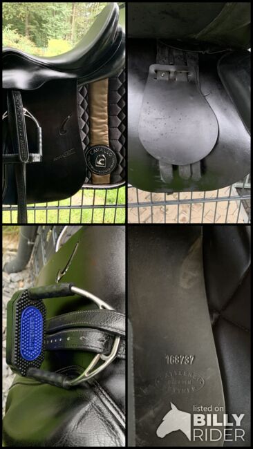 Prestige Roma 17 Zoll, Prestige , Peggy , All Purpose Saddle, Stollberg, Image 9