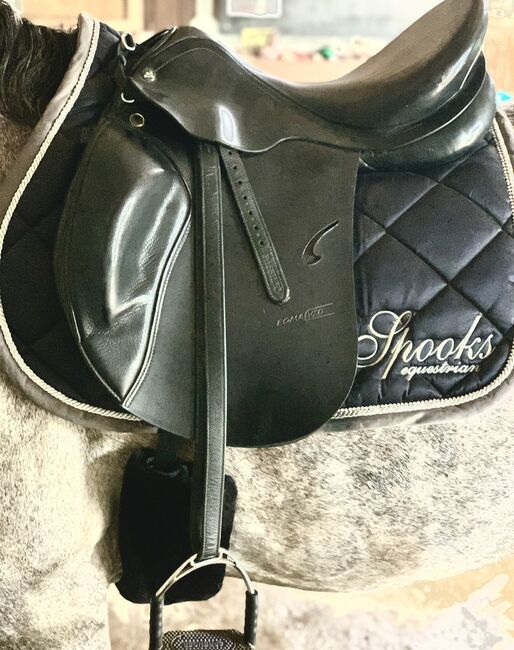 Prestige Roma 17 Zoll, Prestige , Peggy , All Purpose Saddle, Stollberg, Image 6