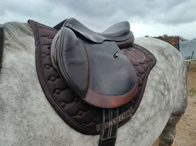 Prestige roma jump 18 Zoll braun 33 Kammer, Prestige  Roma jump , Gudrun Reis , Jumping Saddle, St. Wendel