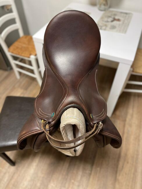 Prestige Roma VS in braun 17 Zoll /33 Kammer, Prestige  Roma VS , Mandy Rauschenbach , All Purpose Saddle, Milzau , Image 7