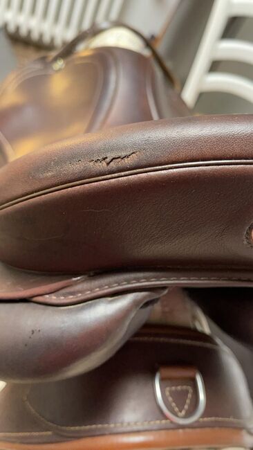 Prestige Roma VS in braun 17 Zoll /33 Kammer, Prestige  Roma VS , Mandy Rauschenbach , All Purpose Saddle, Milzau , Image 6