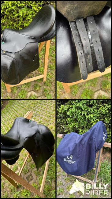 Prestige Roma VSD, Prestige Roma VSD, Martina, All Purpose Saddle, Wies, Image 7