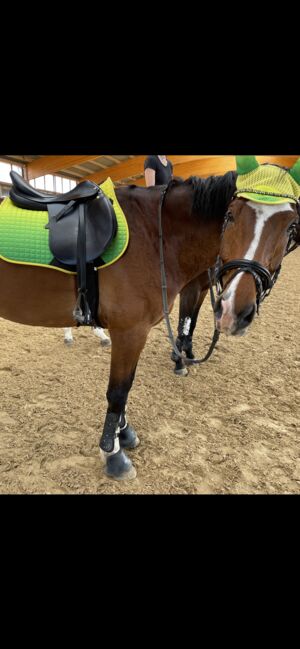 Prestige Roma VSD New, Prestige  Roma VSD New, Jessi, All Purpose Saddle, Jettingen , Image 10