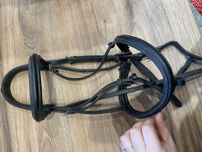 Prestige Trense Full, Prestige , Christina Michalski , Bridles & Headstalls, Neuenkirchen