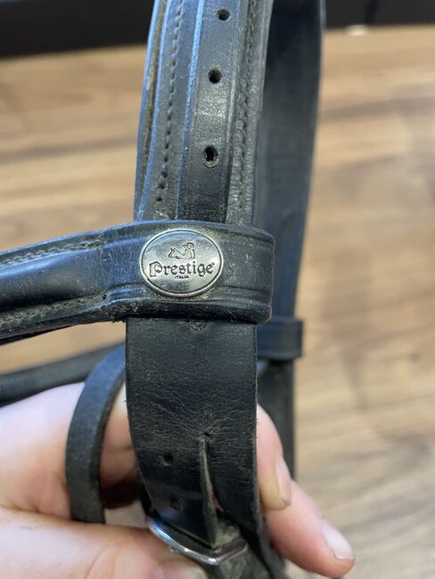 Prestige Trense Full, Prestige , Christina Michalski , Bridles & Headstalls, Neuenkirchen, Image 6