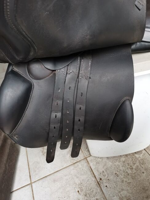 Prestige Springsattel Elastic Provesional, Prestige  Elastic Provesional , Karla Gerlach , Springsattel, Ostrau, Abbildung 3