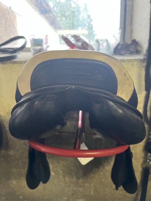 Prestige Springsattel, Prestige, Lilith Gruber, Jumping Saddle, Pilsbach, Image 5