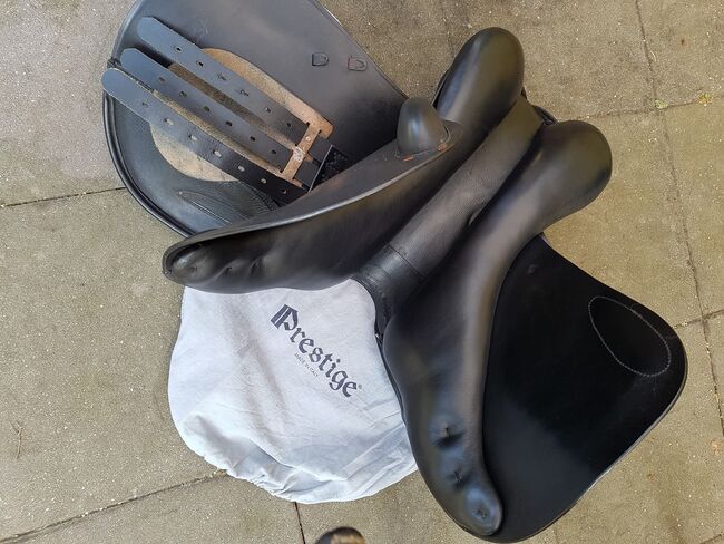 Springsattel prestige, Prestige, Michaela , Jumping Saddle, Saarland , Image 3