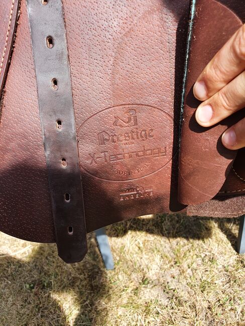 Springsattel Prestige, Prestige  X-Michelle Robert , Henriette Gottschall , Jumping Saddle, Hamburg, Image 6