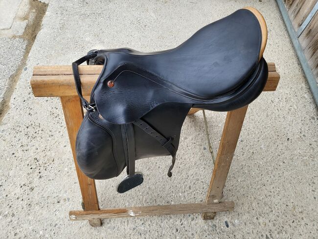 Prestige Sydney, Prestige  Sydney , Maria Gößl-Eccher, Jumping Saddle, Heiligenkreuz am Waasen , Image 3