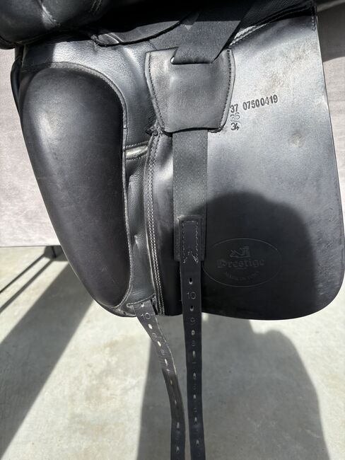 Prestige Top Dressage, Prestige Top Dressage , Henrike Hügelsberger , Dressage Saddle, Purkersdorf , Image 5