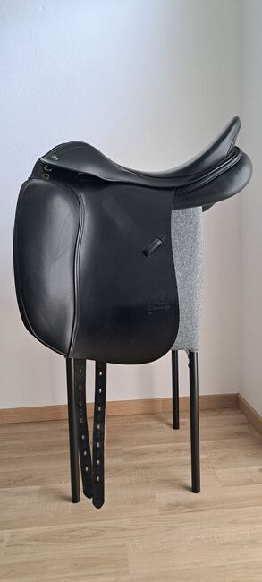 Prestige Top Dressage, Prestige  Top Dressage , Bianca Scherzer , Dressage Saddle, Saalfelden am Steinernen Meer, Image 2