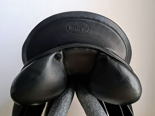 Prestige Top Dressage, Prestige  Top Dressage , Bianca Scherzer , Dressage Saddle, Saalfelden am Steinernen Meer, Image 3
