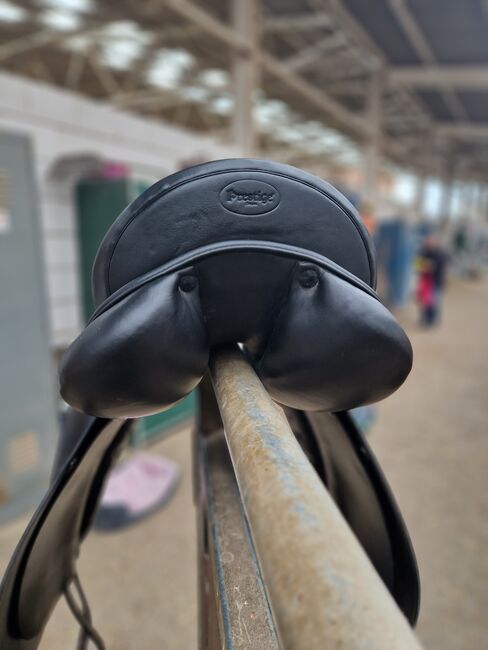 Prestige Top Dressage, Prestige Top Dressage, Laura, Dressage Saddle, Schwetzingen , Image 8