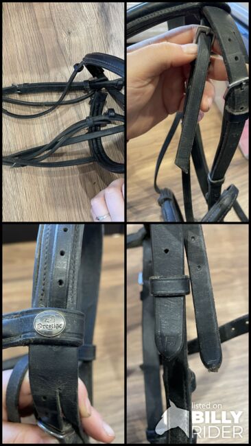 Prestige Trense Full, Prestige , Christina Michalski , Bridles & Headstalls, Neuenkirchen, Image 8