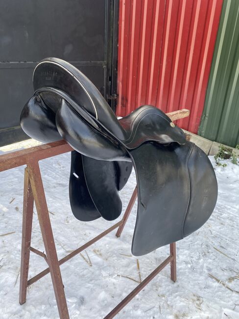 Prestige Springsarrel, Prestige Silverstar, BA., Jumping Saddle, Dummerstorf , Image 6