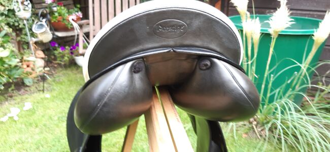 Prestige Venezia VS 17/31, Prestige Venezia 17/31, Susanne Martens-Gärtner , All Purpose Saddle, Lindenberg, Image 4