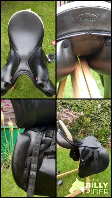 Prestige Venezia VS 17/31, Prestige Venezia 17/31, Susanne Martens-Gärtner , All Purpose Saddle, Lindenberg, Image 6