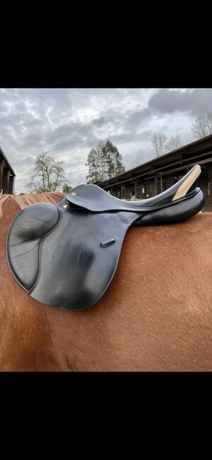 Prestige Venezia 18/33, Prestige  Venezia , Paula Gottschalk , All Purpose Saddle, Saarlouis , Image 4