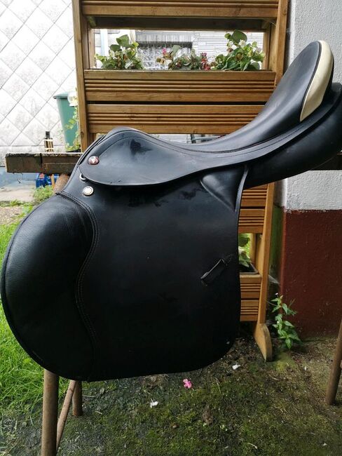 Prestige Venezia, Prestige Venezia, Nicol Fuchs, Jumping Saddle, Driedorf