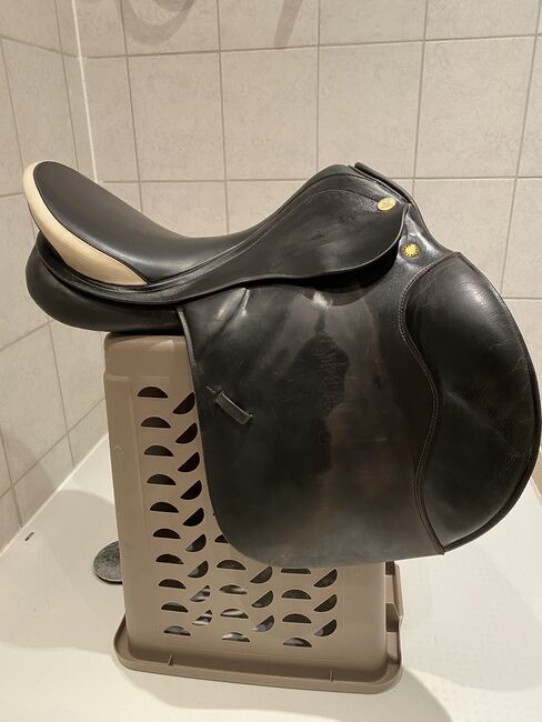 Prestige Venezia Sattel 17'' / 32, Prestige Venezia, Katrin, All Purpose Saddle, Bad Tennstedt