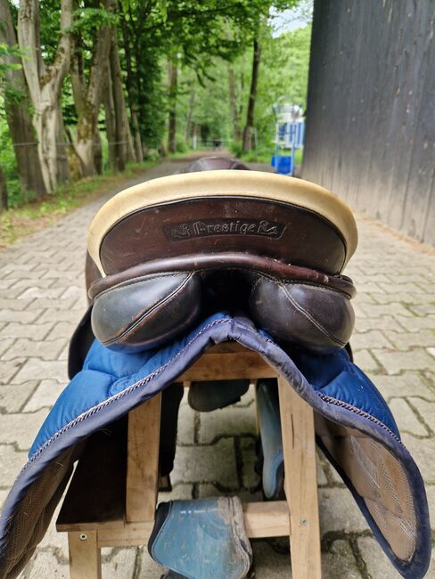 Prestige Venezia springsattel 17 zoll 32 er kammer braun, Prestige  Venezia , K. Werner, Jumping Saddle, Westerwalsede, Image 6