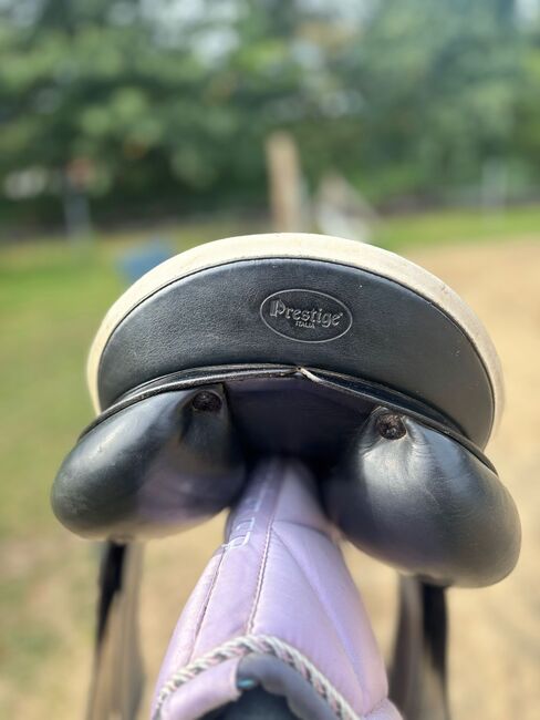 Prestige Venezia Vielseitigkeit/springsattel schwarz, Prestige  Prestige Venezia , Lara Meyer , Jumping Saddle, Vellahn , Image 5