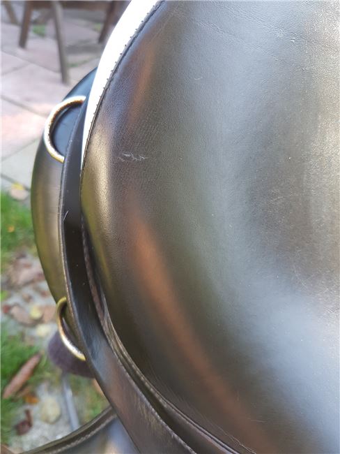 Prestige Venezia VS 17" / KW 34, Prestige Venezia, Sabine S., All Purpose Saddle, Bodenkirchen, Image 2