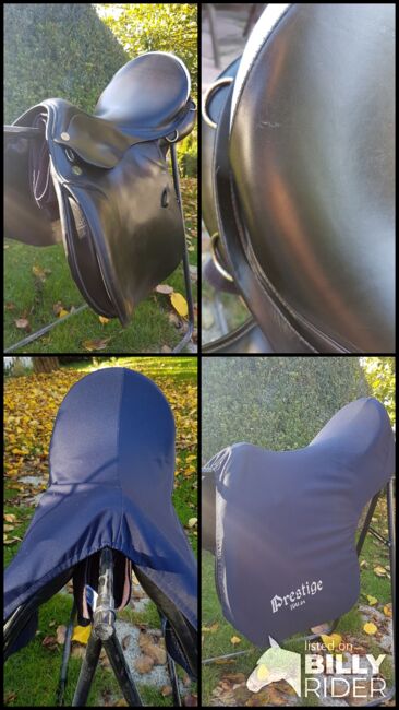 Prestige Venezia VS 17" / KW 34, Prestige Venezia, Sabine S., All Purpose Saddle, Bodenkirchen, Image 13
