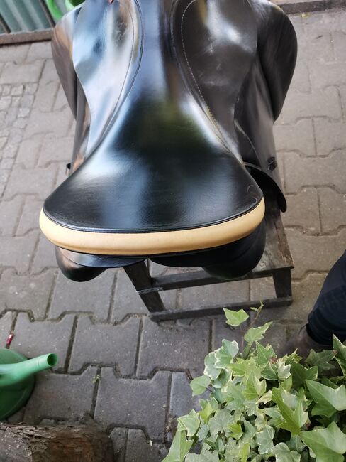 Prestige Venezia Vs, Prestige  Venezia , Karla Gerlach , All Purpose Saddle, Ostrau, Image 3