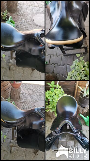 Prestige Venezia Vs, Prestige  Venezia , Karla Gerlach , All Purpose Saddle, Ostrau, Image 6