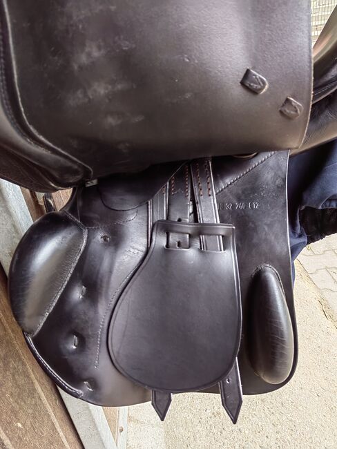 Prestige Venezia Vss, Prestige  Venezia , Karen Erens , All Purpose Saddle, Krefeld, Image 6