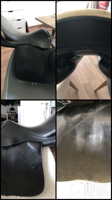 Prestige Venezia VS, Prestige Venezia, Maike, All Purpose Saddle, Wiesbaden , Image 7