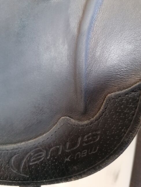 Prestige Venus K new Dressursattel, Prestige Venus K new, Claudia, Dressage Saddle, Schlitters, Image 5