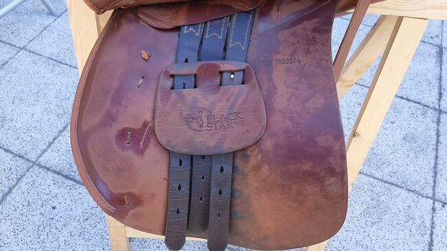 Sattel Prestige VS 17 Zoll, Prestige  Black Star, Sylvia Nordmann , All Purpose Saddle, Bad Düben, Image 7