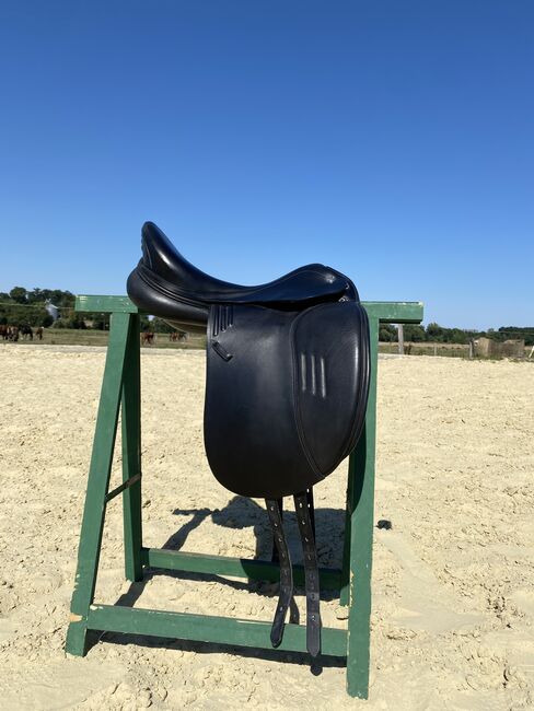 Prestige X-Doge Dressursattel, Prestige  X-Doge, Clara, Dressursattel, Iserlohn, Abbildung 6