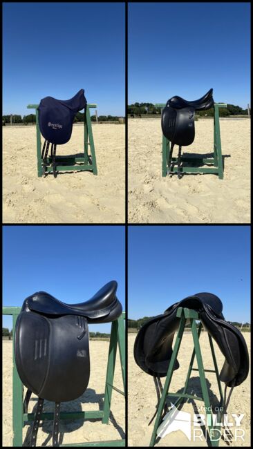 Prestige X-Doge Dressursattel, Prestige  X-Doge, Clara, Dressursattel, Iserlohn, Abbildung 10