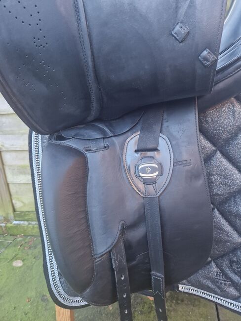 Prestige X-Helen, Prestige X-Helen, Melina, Dressage Saddle, Oldenburg, Image 6