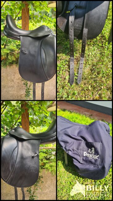 Prestige X Helen FS Dressursattel, Prestige X Helen FS, Laura Armbruster, Dressursattel, Glatten, Abbildung 11