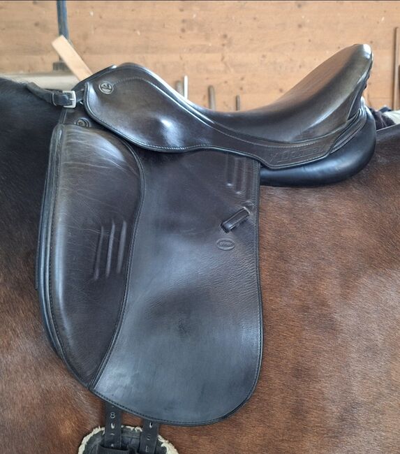 Prestige x Optimax Dressursattel 17" - Kammerweite 34, Prestige  X Optimax , Vera, Dressage Saddle, Ellhofen