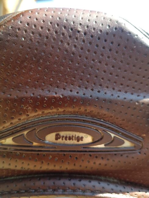 Prestige X-Optimax, Prestige , Manuela Lehner , Dressage Saddle, Linz, Image 5
